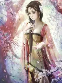 红楼之挽天倾（重置版）